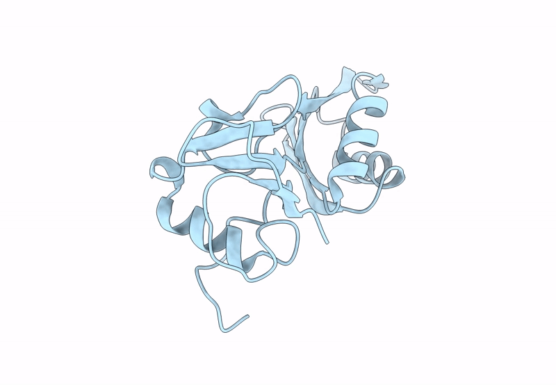 8PX5 image