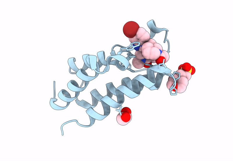 8PX8 image