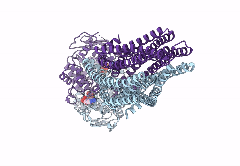 8PX9 image