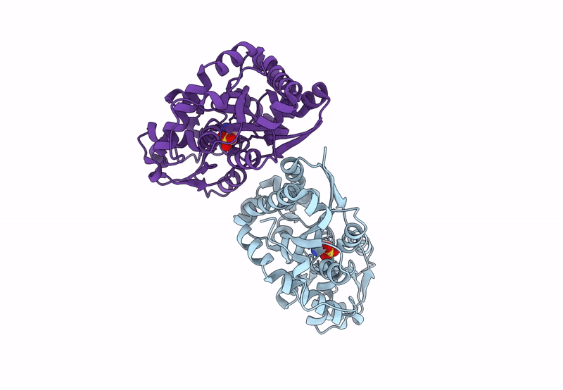 8PXH image