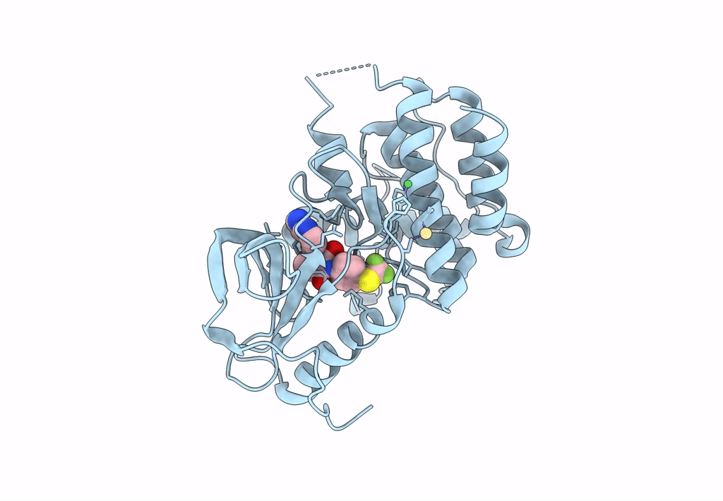 8PYM image