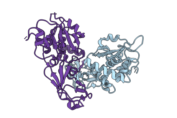 8PZ3 image