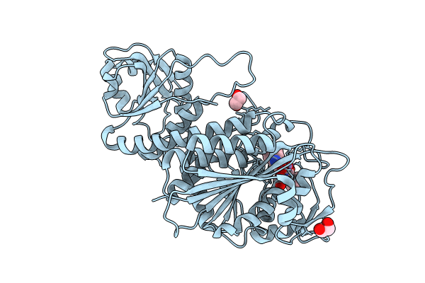 8PZM image