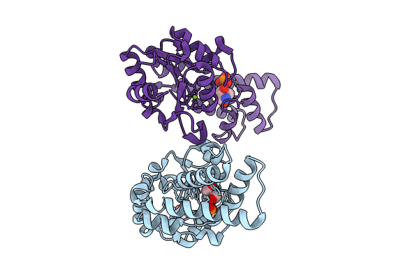 8Q1C image