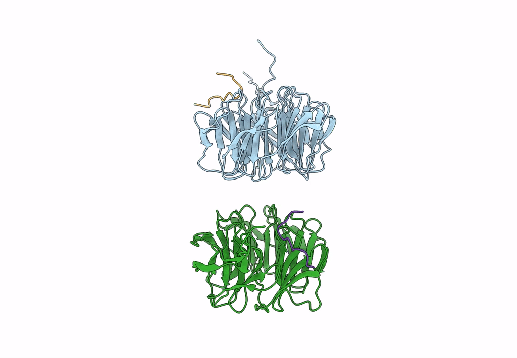8Q1N image