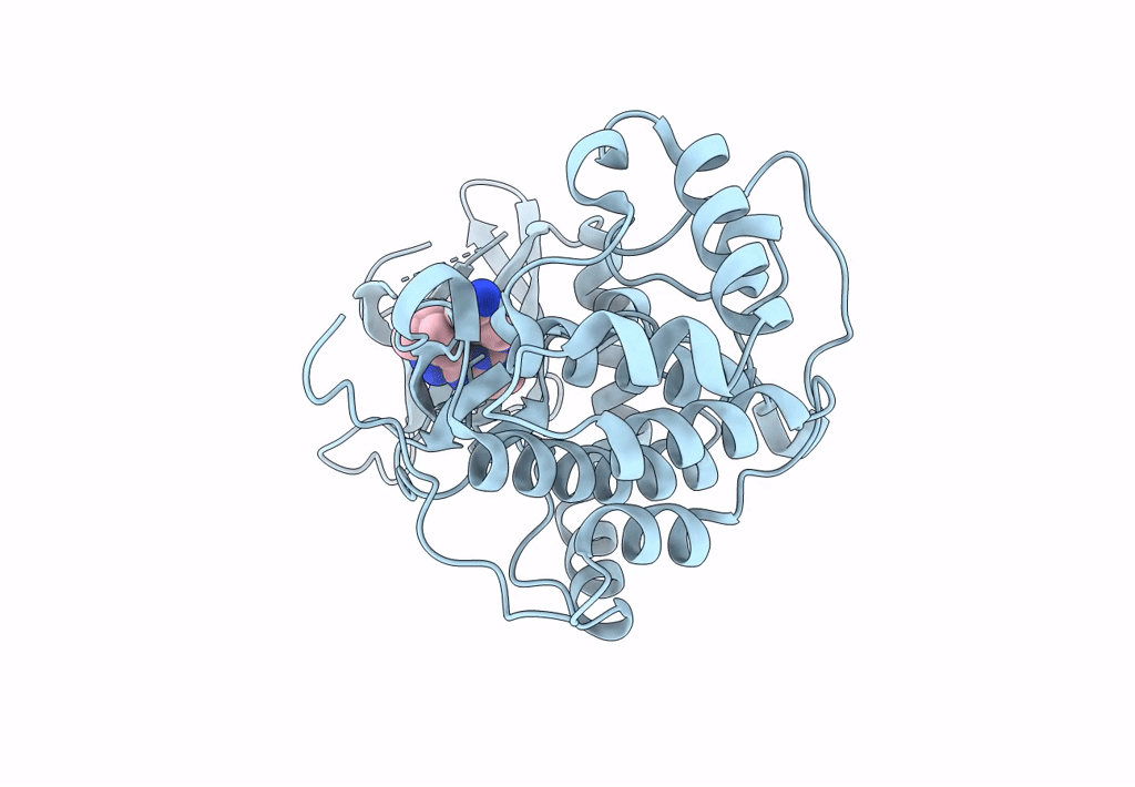 8Q1Z image