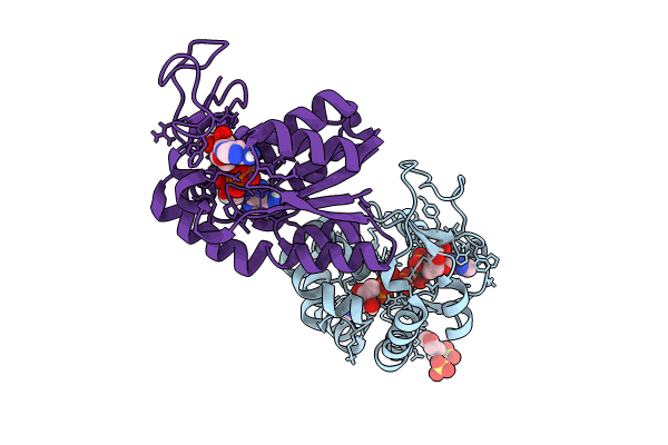 8Q2B image