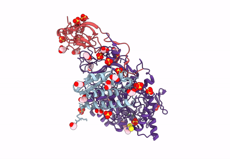 8Q2E image