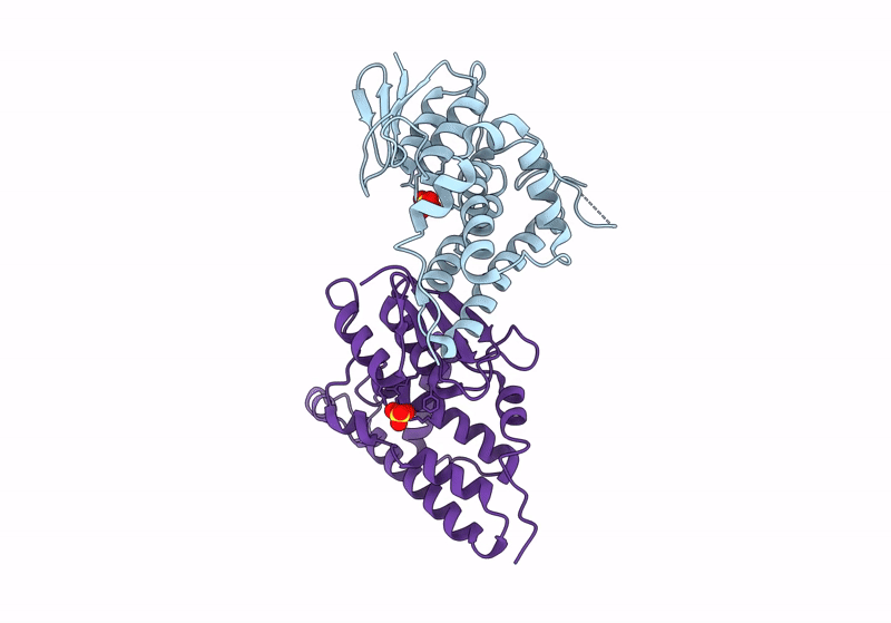 8Q4I image