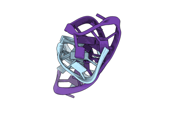 8Q5Q image