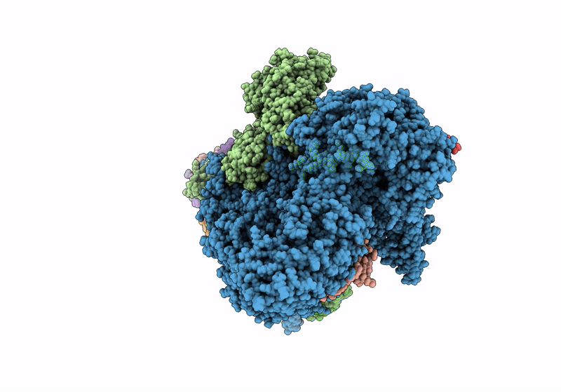 8Q7V image