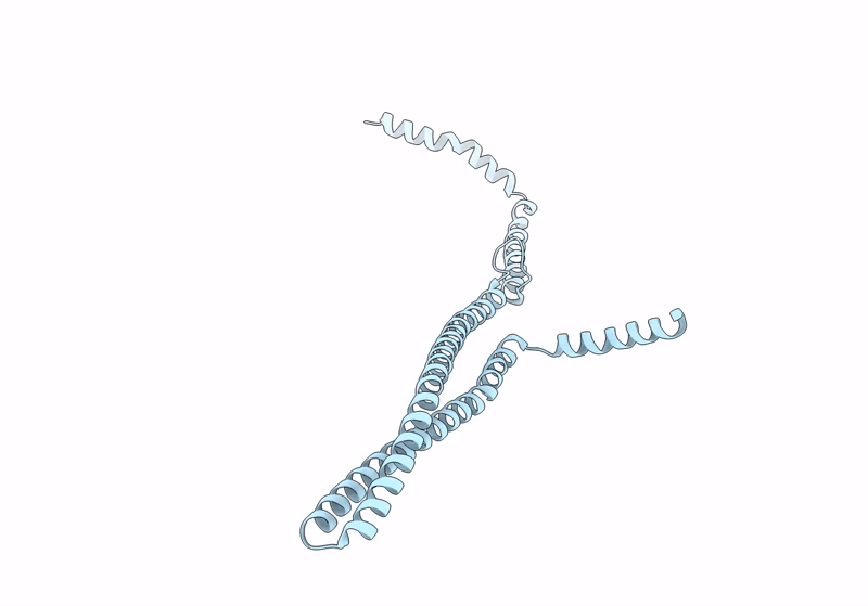8QBV image