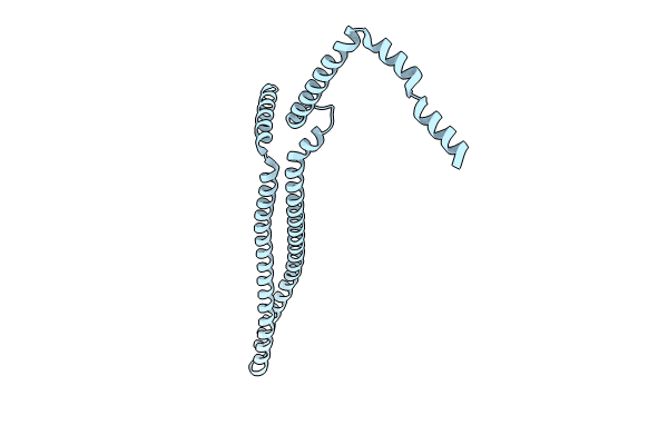 8QBW image