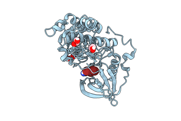 8QCD image