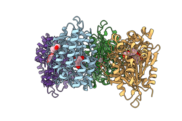 8QD3 image
