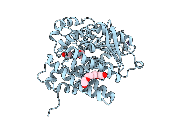 8QD5 image