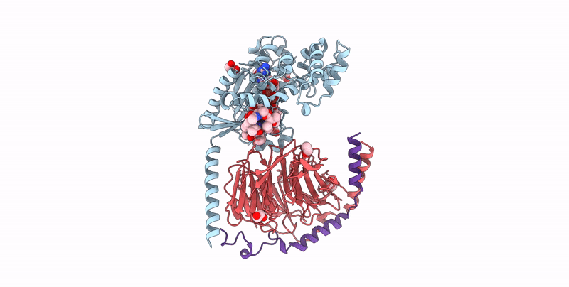 8QEG image