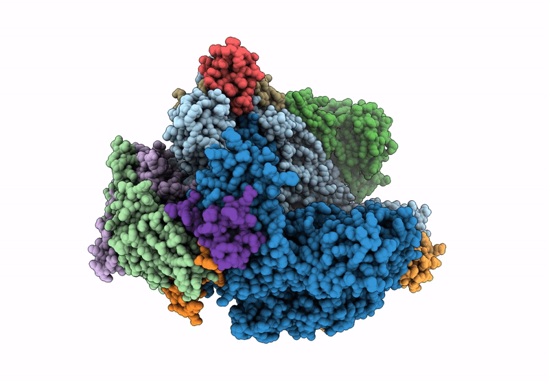 8QEP image
