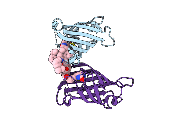 8QEX image