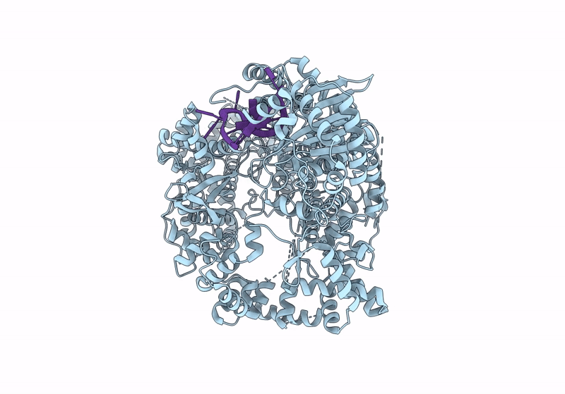 8QGT image