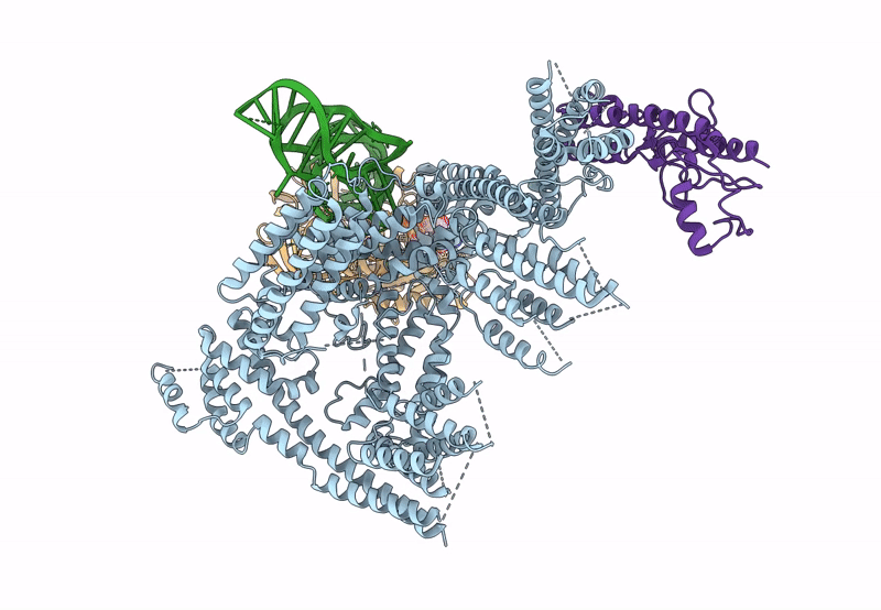 8QHC image