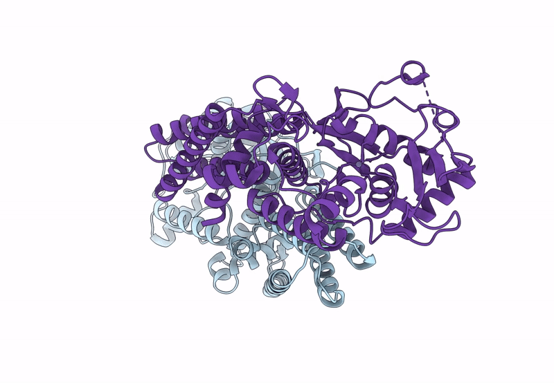 8QHP image