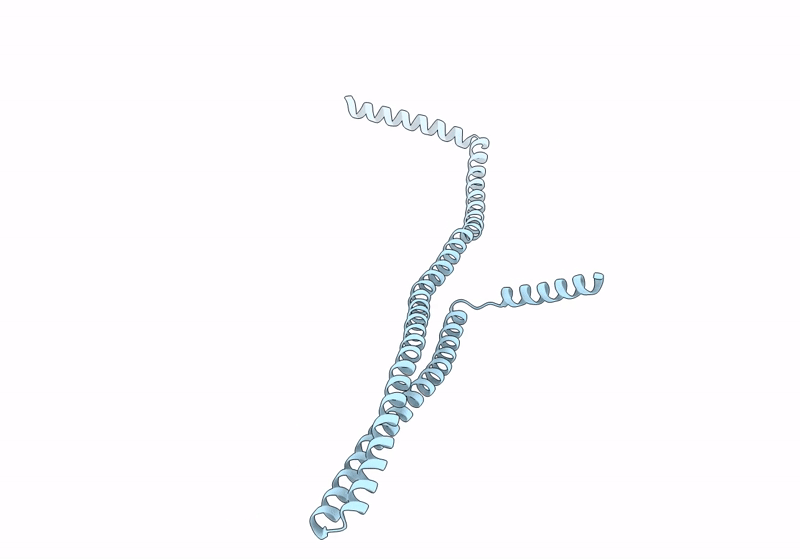 8QHW image