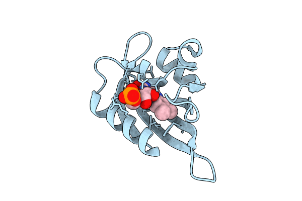 8QIP image