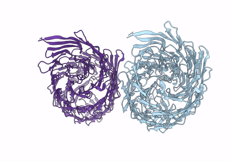 8QJB image