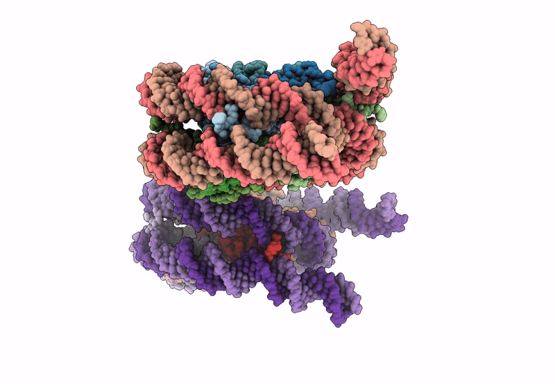 8QKT image