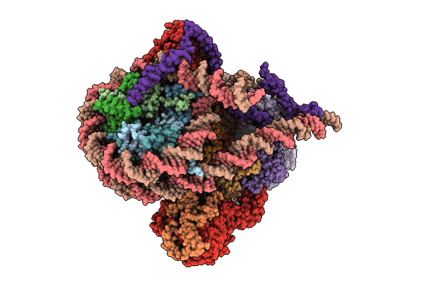 8QKV image