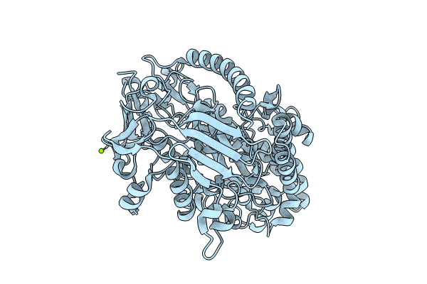 8QLC image