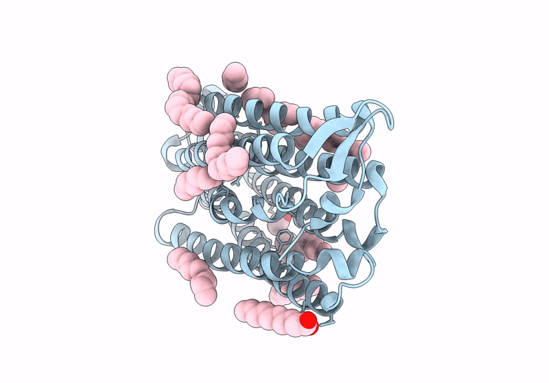8QLE image