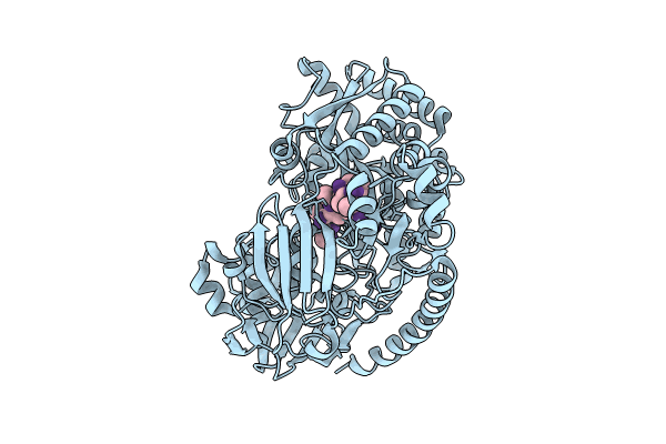 8QLJ image