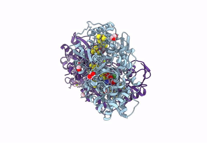 8QM3 image