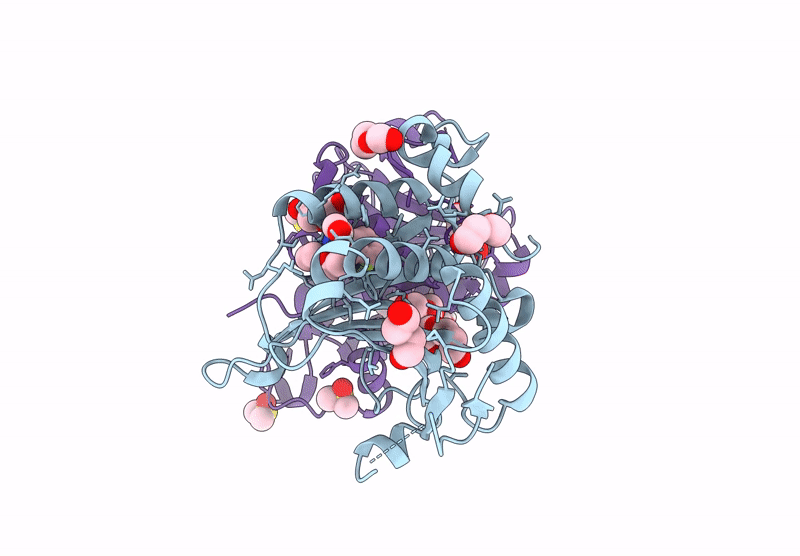 8QM8 image
