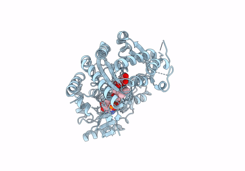 8QNB image