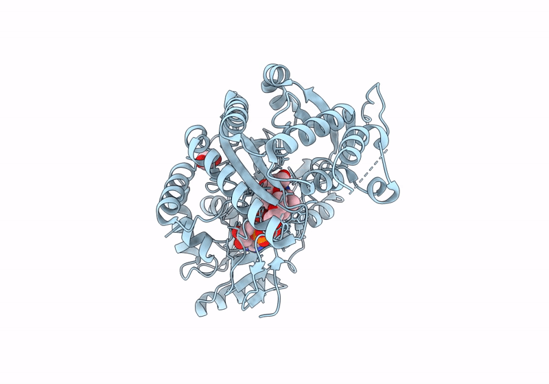 8QNC image