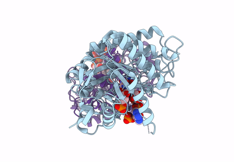 8QNM image