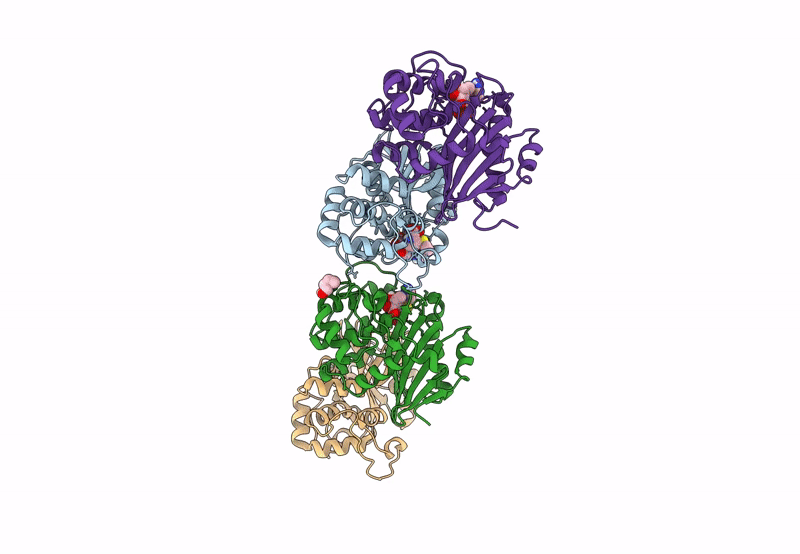 8QNZ image
