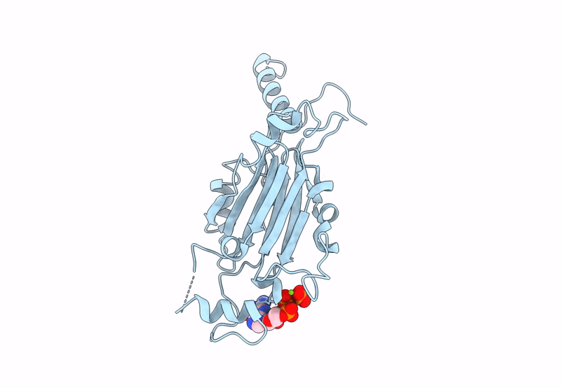 8QPH image