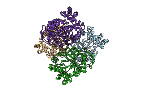 8QPM image