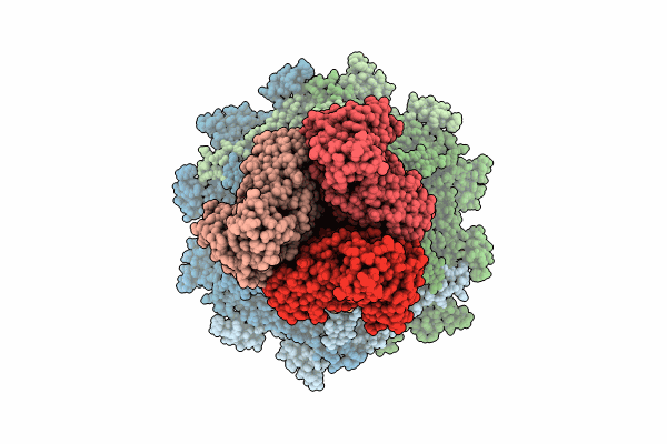 8QPQ image