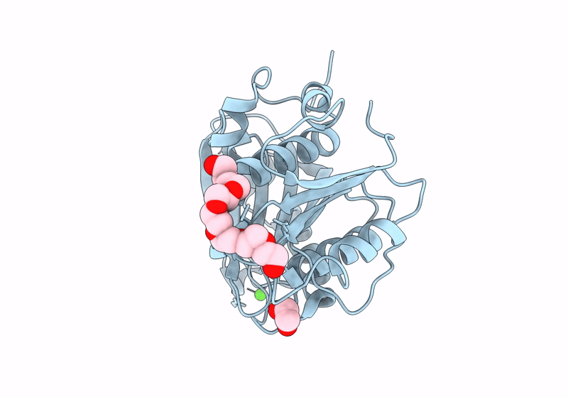 8QRJ image
