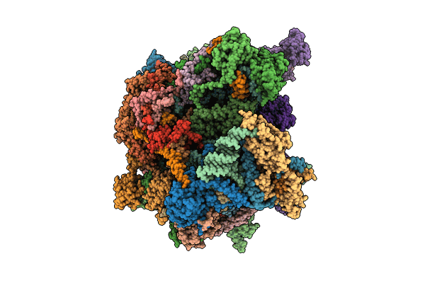 8QSJ image