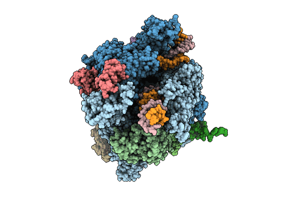 8QSZ image