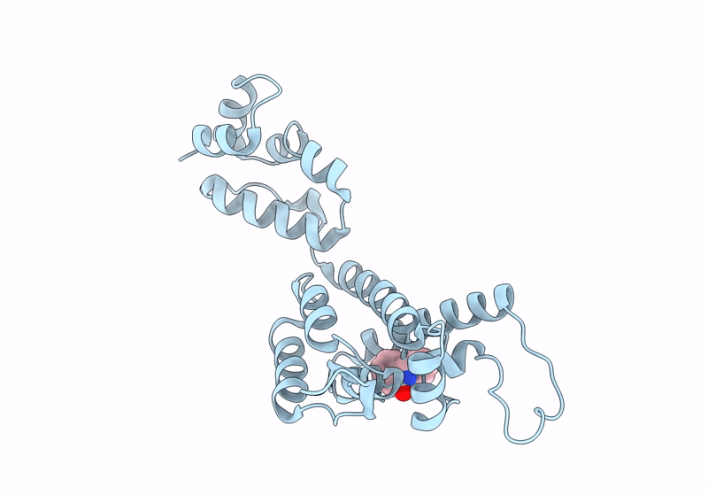 8QUB image