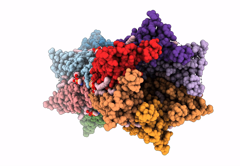 8QVN image