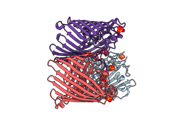 8QVS image
