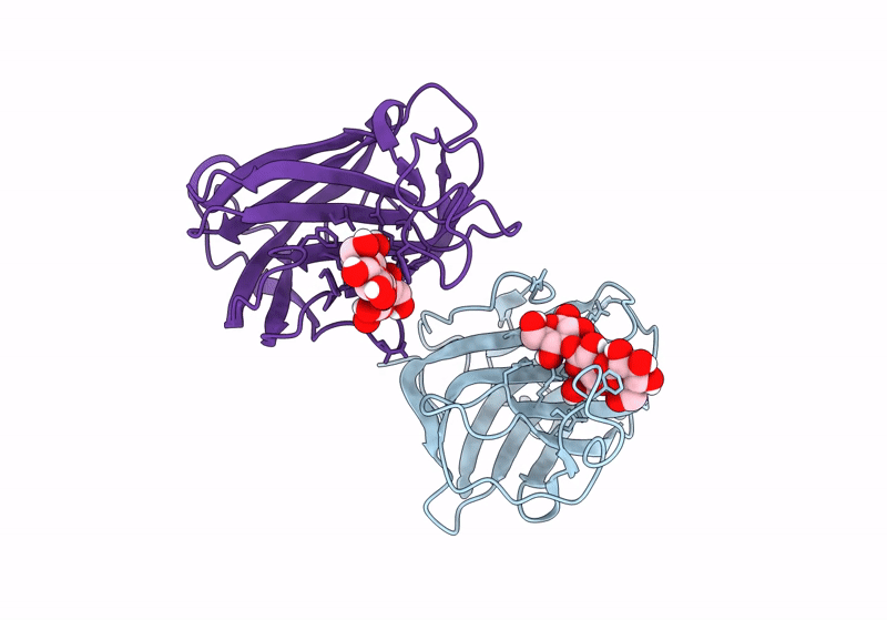 8QX6 image